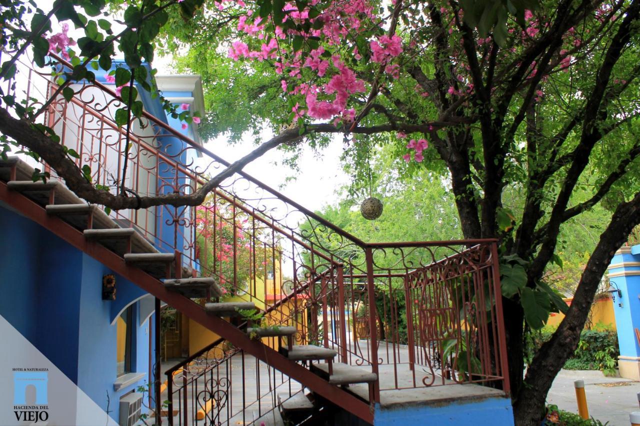 Hotel Hacienda Del Viejo ماتاموروس المظهر الخارجي الصورة